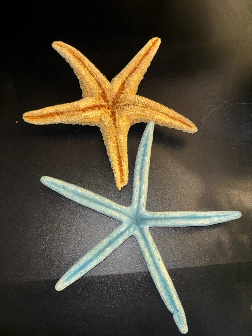Starfish Pair - Blue & Natural Tan Coastal Accents - Picture 3 of 6